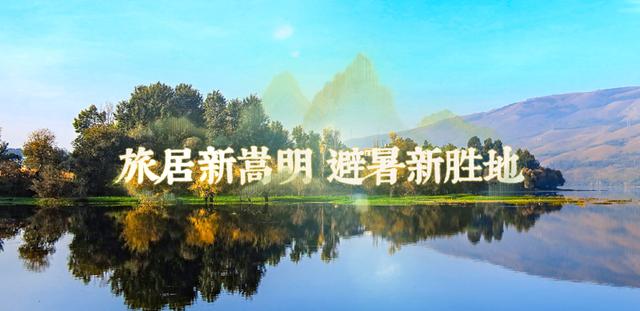 不爱运动